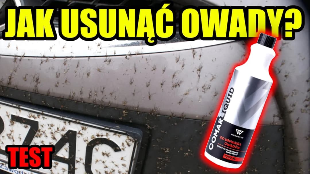 Jak usunąć owady z karoserii i chronić lakier przed uszkodzeniem